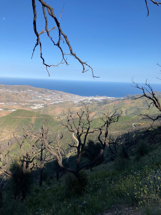 Cortijo Sancardo Konuk evi Lujar Dış mekan fotoğraf